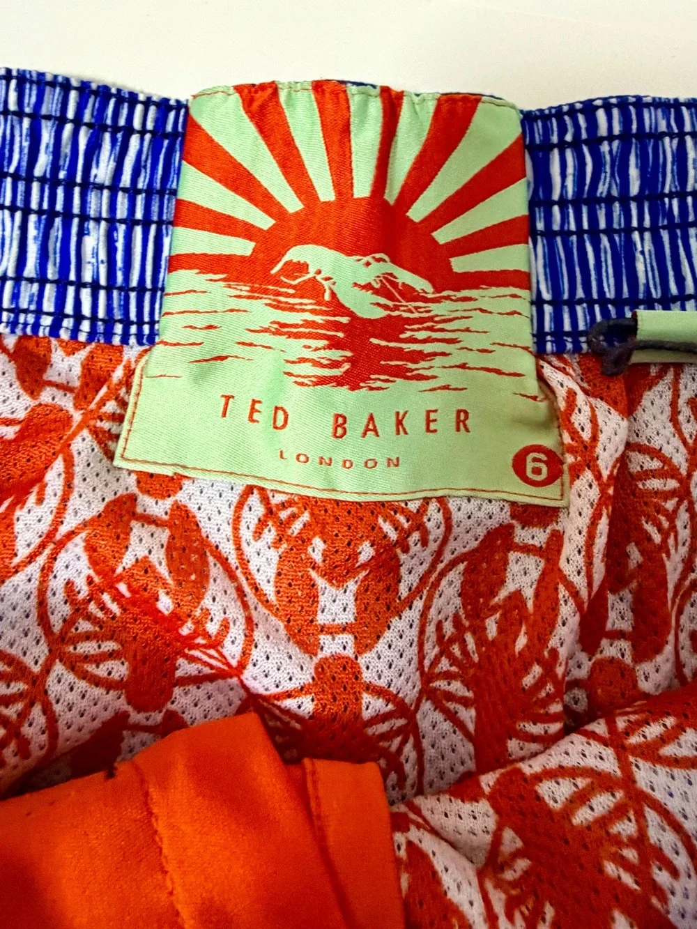 Ted Baker Men's Blue Checkered Swim Trunks Shorts Size 6 Worlds Your Lobster